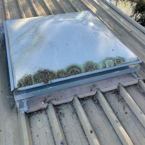 old skylight dome